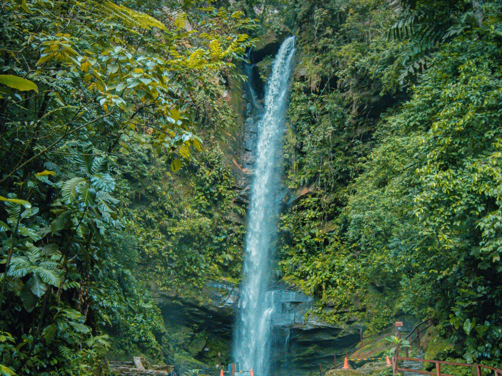 Experiencia turística en Tarapoto y San Martín