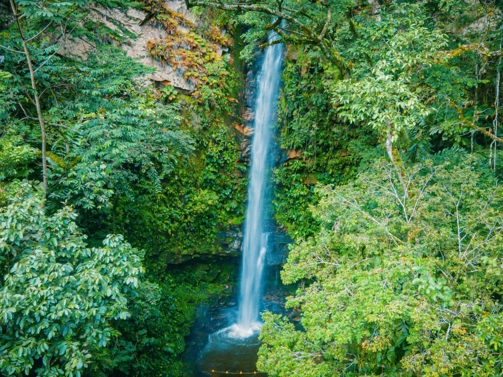 TOUR CATARATAS DE AHUASHIYACU